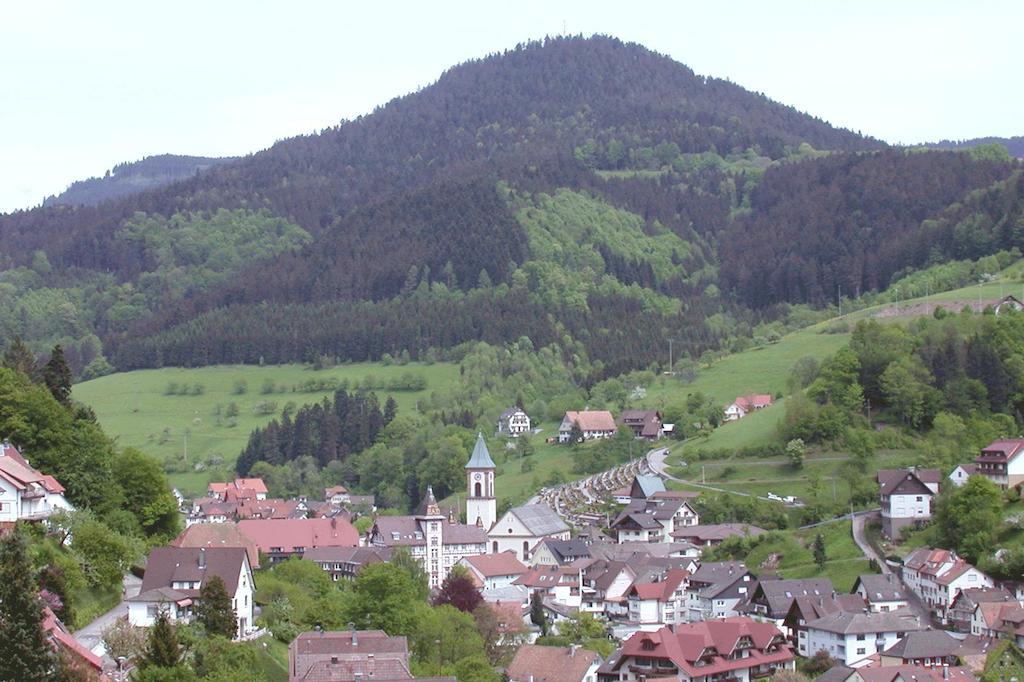 Ferienwohnung Angela Muller Bad Peterstal-Griesbach Δωμάτιο φωτογραφία